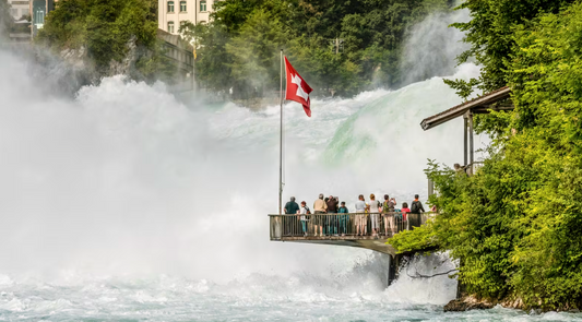 Rhine Falls Boat Ride