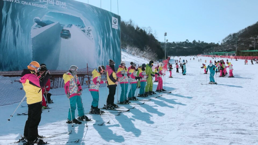 South Korea Vivaldi Day Trip