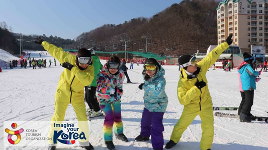 South Korea Vivaldi Day Trip
