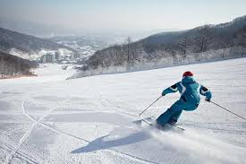 South Korea Ski