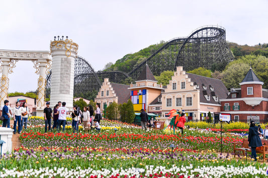 South Korea Everland Day Trip